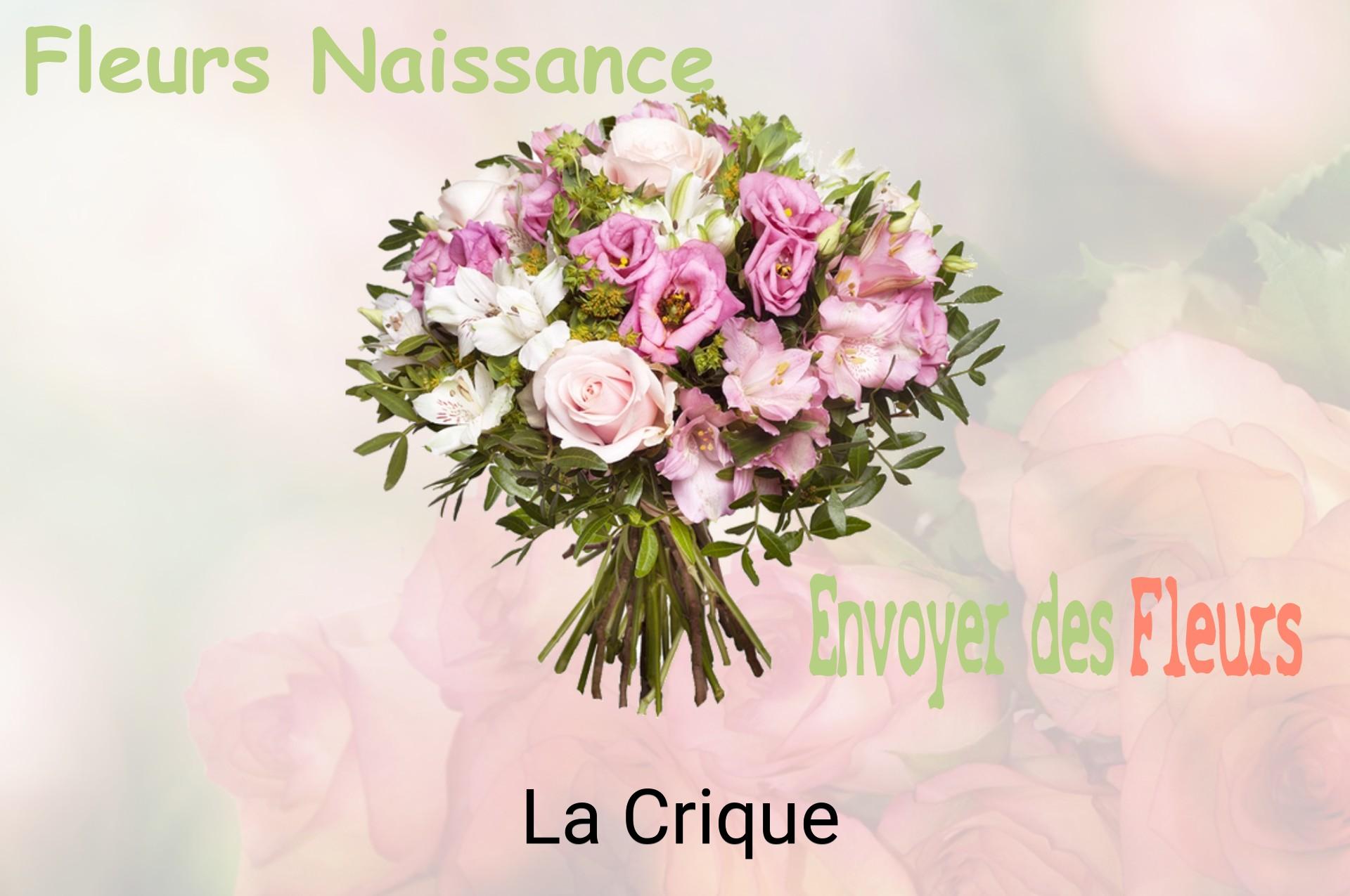 Bouquet de fleurs de naissance livré à La Crique